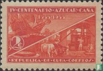 Cane sugar plantations