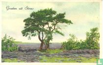 Groeten uit Stroe