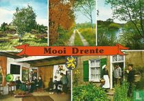 Mooi Drente