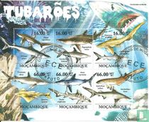 Sharks for sale
