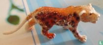Panther