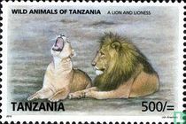 Lions