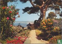 French Riviera 
