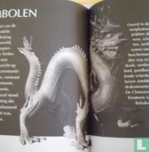 Drakenbeeld