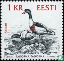 Vögel kaufen