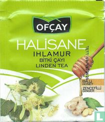 Ihlamur  