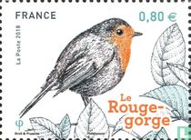 The birds of our gardens