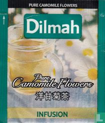 Pure Camomile Flowers