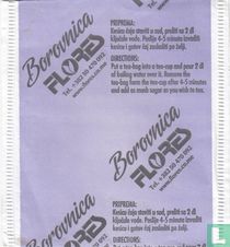 Borovnica
