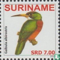 Jacamar à bec jaune
