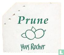 Prune / Pflaumen Plum Pruim Plommon Luumu 84555