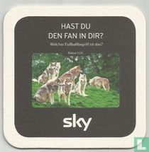 Es ist nicht das Team, das man die Wölfe nennt.