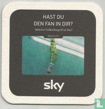 Es sind nicht die Zecken