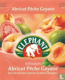 Elephant theezakjes catalogus
