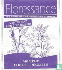 Ventre Plat Bien-Être Digestif