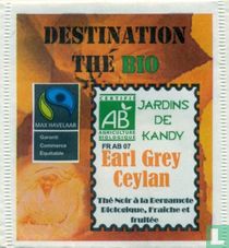 Destination tea bags catalogue