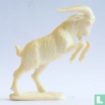 Bok