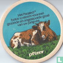 Het Paratect Bolus systeem voor een..