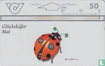 Glückskäfer - Mai