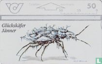 Glückskäfer - Jänner