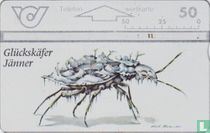 Glückskäfer - Jänner