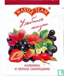 Master Team [r] tea bags catalogue