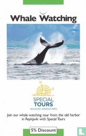 Apecial Tours - Whale Watching