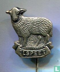 Schaap