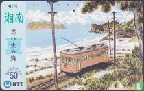 Shonan 'Flower-Shade'