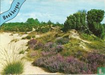 Beekbergen