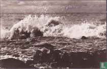 Groeten uit Den Helder