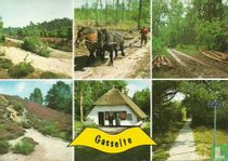 Gasselte