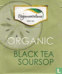 Black Tea Soursop