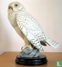 Harfang des neiges