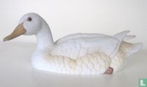 Canard de Peking (femelle)