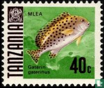 Poissons