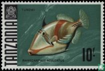 Poissons