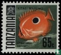 Poissons