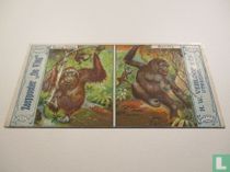 Orang Oetan / Gorilla