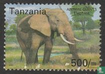 Afrikaanse Olifant