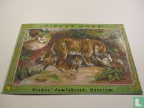 Panter