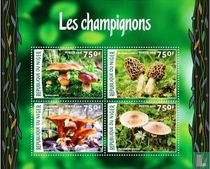Les champignons
