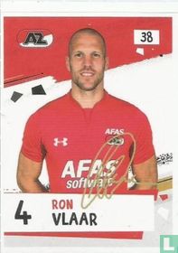 Ron Vlaar 