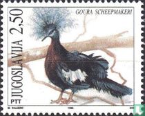 Fauna
