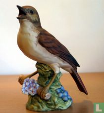 Nachtegaal