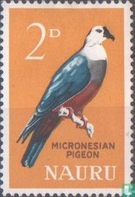 Native Birds