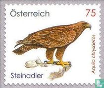Steenarend