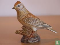 Veldleeuwerik 