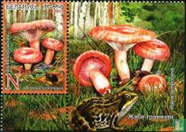 Champignons