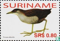 Ash-throated Crake